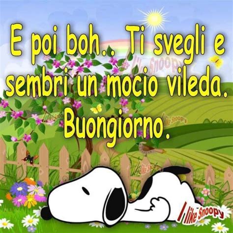 buongiorno snoopy caldo|vignetta snoopy gratis.